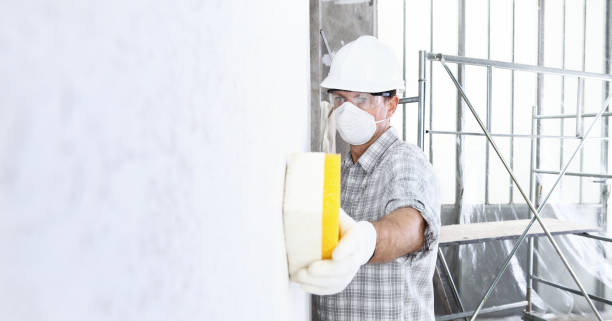 Best Basement Mold Removal  in Wilder, ID