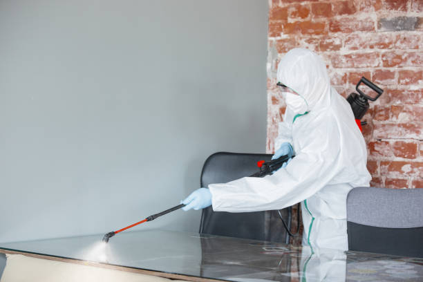 Best Dehumidification Services  in Wilder, ID